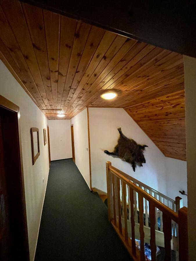 Treti Chalupa U Smrciny Johannisbad Exterior foto